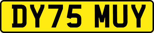 DY75MUY