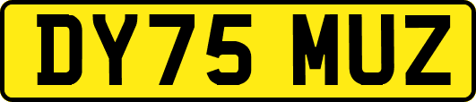 DY75MUZ