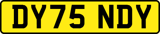 DY75NDY