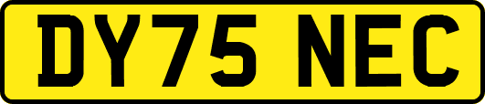 DY75NEC