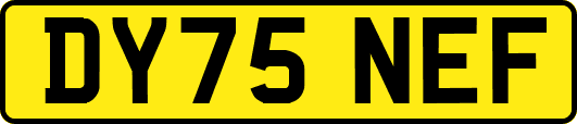 DY75NEF