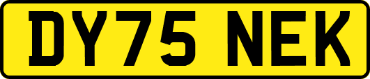 DY75NEK