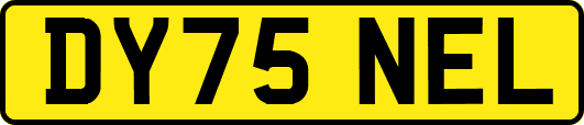 DY75NEL