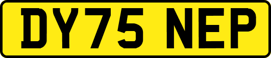 DY75NEP