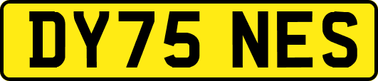DY75NES