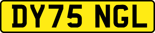 DY75NGL