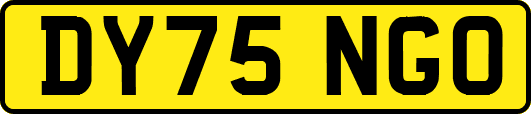 DY75NGO