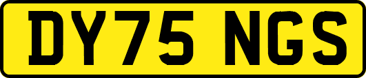 DY75NGS
