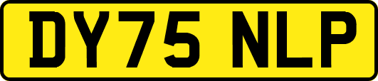 DY75NLP