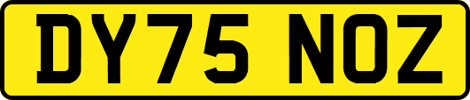 DY75NOZ