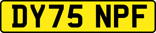 DY75NPF