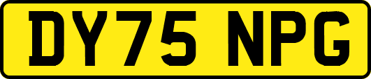 DY75NPG