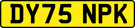 DY75NPK