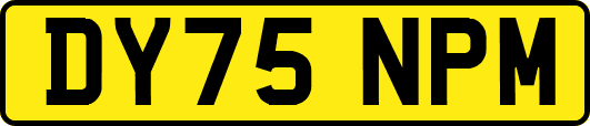 DY75NPM