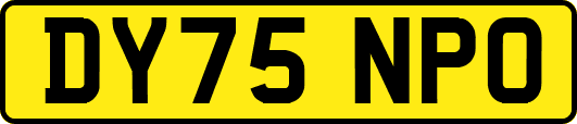 DY75NPO