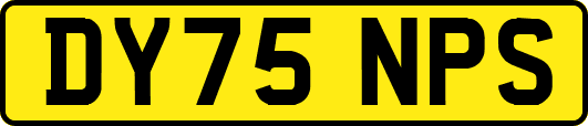 DY75NPS