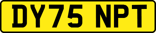 DY75NPT