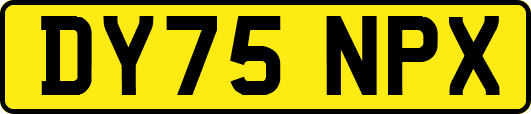 DY75NPX