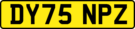 DY75NPZ