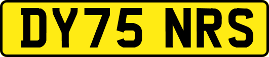 DY75NRS