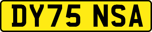 DY75NSA