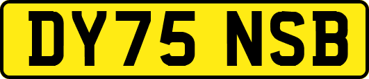 DY75NSB