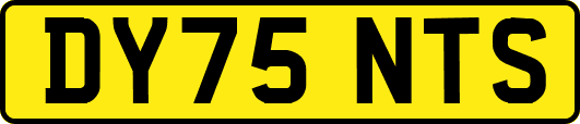 DY75NTS