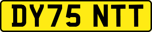 DY75NTT