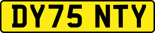 DY75NTY