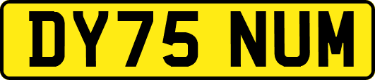 DY75NUM