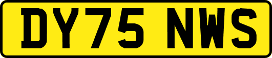 DY75NWS