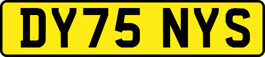 DY75NYS