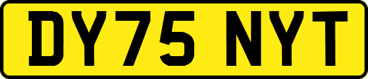DY75NYT