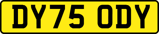 DY75ODY