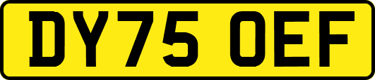 DY75OEF