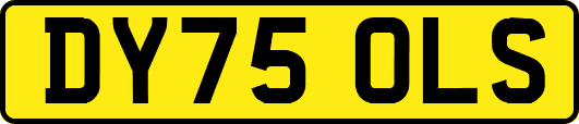 DY75OLS