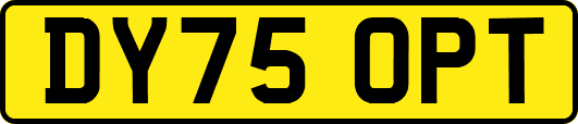 DY75OPT