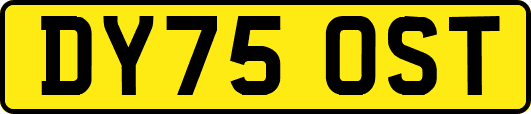 DY75OST