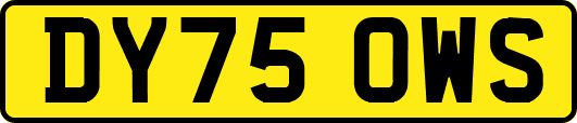 DY75OWS