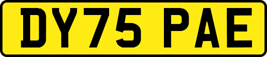 DY75PAE