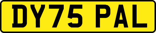 DY75PAL