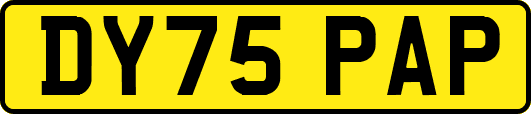 DY75PAP