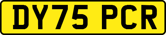 DY75PCR