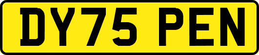 DY75PEN
