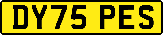 DY75PES