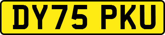 DY75PKU