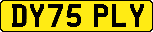 DY75PLY