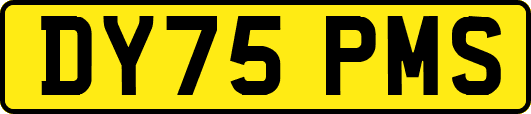 DY75PMS