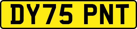 DY75PNT