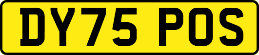 DY75POS